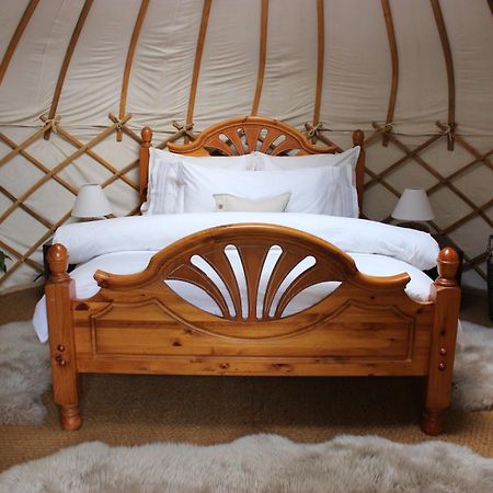 The Yurt At Worcesters Farm Кэнтербари Экстерьер фото