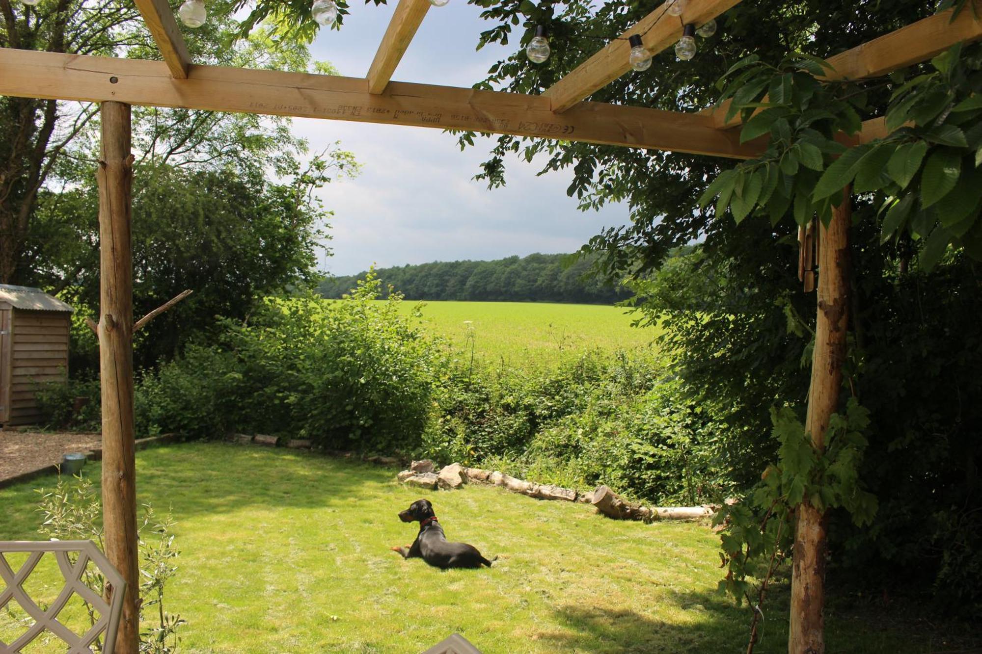 The Yurt At Worcesters Farm Кэнтербари Экстерьер фото